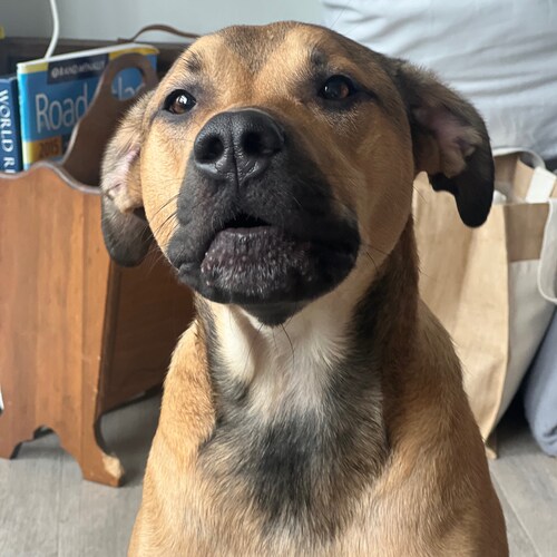 I am as ignorant about tomorrow as I was about tofay, yesterday.