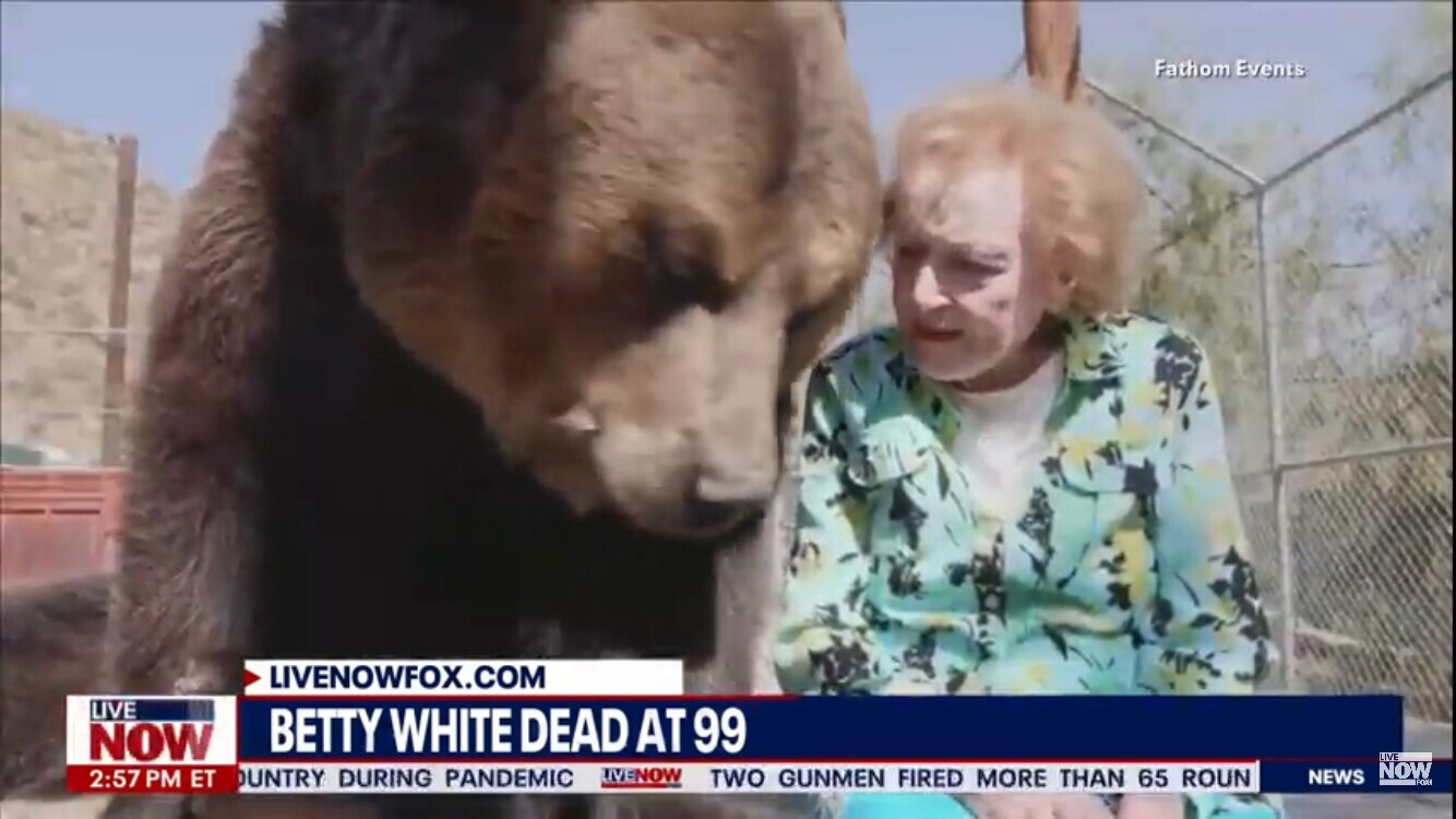 Love the Lady, Love the Bear