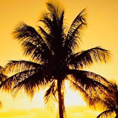 Conservative Latina and Proud Texan and forever  Native American