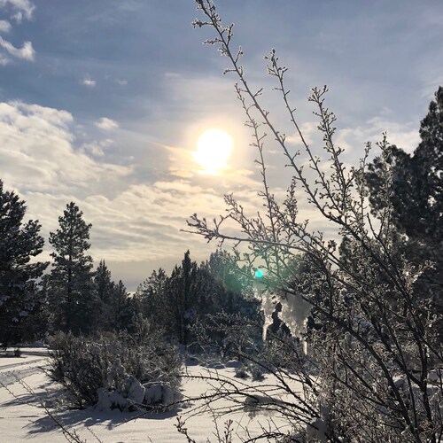 strong, independent, devoted wife, mother and grandmother and believer in Jesus Christ!