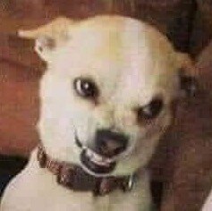 Nothing serious here