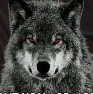 “Wait on the Lord; Be of good courage, And He shall strengthen your heart; Wait, I say, on the Lord!”
‭‭Psalms‬ ‭27:14‬