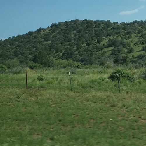 Christian, 40+ yr. educator, mother of three
beautiful daughters, 4 fantastic grandchildren, married 46 yrs to my best f...