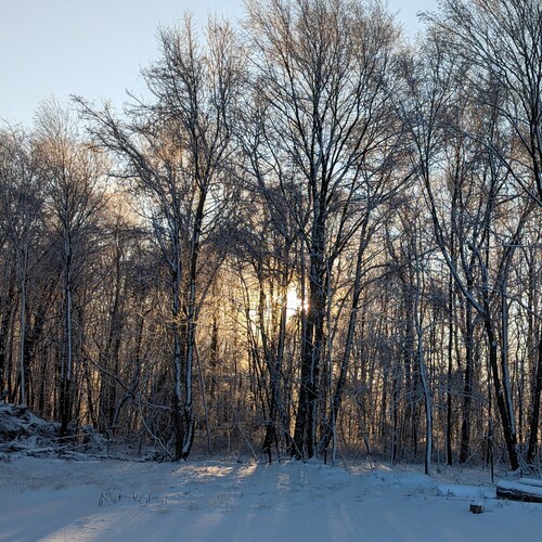 “Do not forget that every nation deserves the government that it endures.” - White Rose