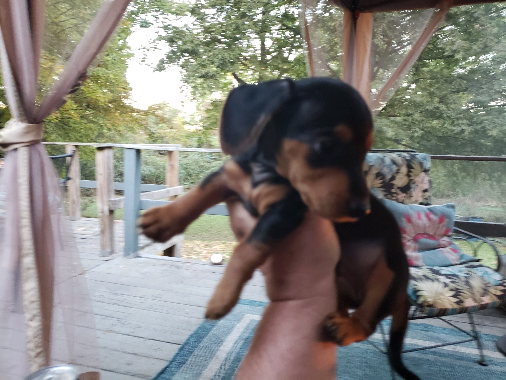 I'm ready for spring! We've had enough of the cold stuff!