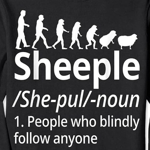 Former combat vet, liberal Dem, teacher union leader, and hired gun for NEA who saw the light. Freedom. Not tyranny. Don't be a sheeple!