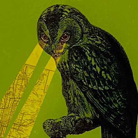 🇺🇸 Conservative ✅ MAGA 🇺🇸 🩸Pureblood 🇺🇸 Fight the Psy-Op 🇺🇸