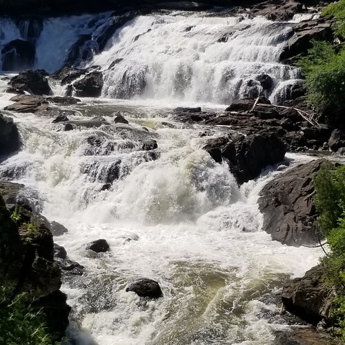 Freedom..love nature,   
alternative medecine.
Truth seeker ! and to the point !