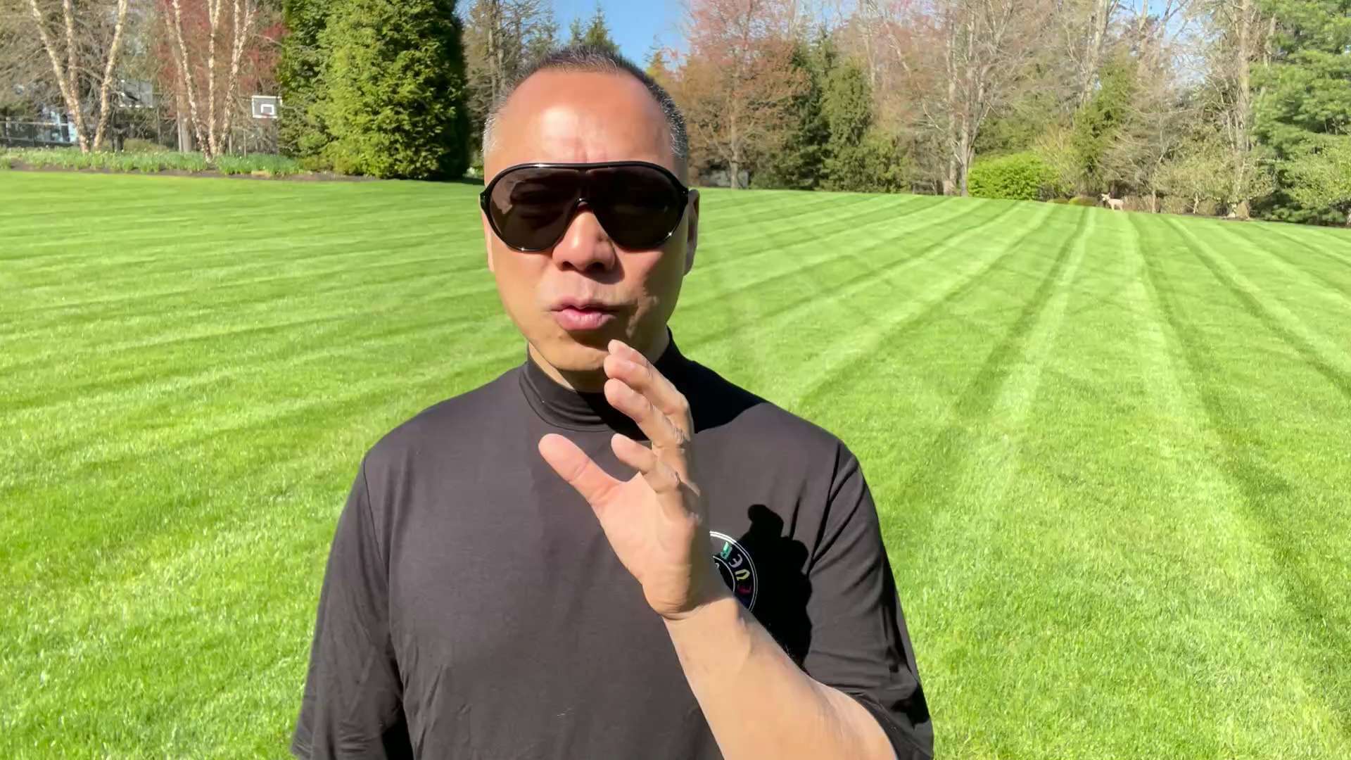  4月29号：尊敬的战友们好……今天的纽约．阳光明媚．美丽极了，今天取消了开庭．七哥与战友们分享这美好的时光！