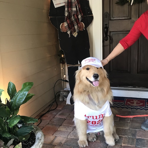 Leader of the Martin 912 Tea Party Committee Stuart Fl.Working everyday from local on up. Educating,watchdogs, and vetti...