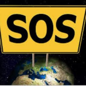 Visit 1LUCIOLELUCIDE's profile on GETTR. View their posts, photos, videos, and connect with them on the social platform.