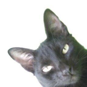 Visit JOSEANNEWS's profile on GETTR. View their posts, photos, videos, and connect with them on the social platform.