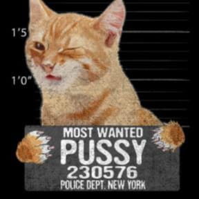 Women breastfeed & give birth, not penis-owning cross-dressers. President of Yorkshire, Anglo-Saxon. Non-woke. Pronouns:...