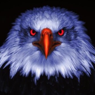 God Wins.  The Government and Media try to Divide Us.  We Must Unite as One Nation.  #LIVEFREEORDIE   #USA   United We S...