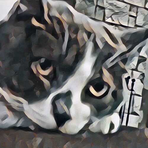 CeeItTV Global Media Network