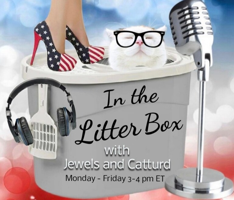 Working hard on launching our new podcast this year. "In the Litter Box" with Jewels and Catturd.
First broadcast will be on January 19th - with special