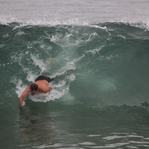 Author of FINDING DEVO - a novel adventure. Woke cancel-culture mobs burn my new book, SURFING With SHARKS,
