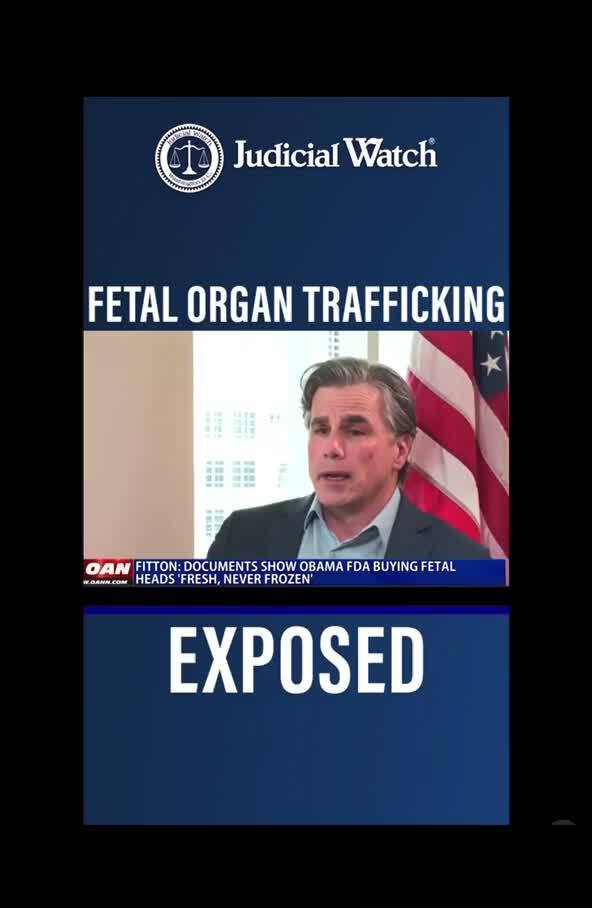 💔
Obama & Fauci involved in fetal organ trafficking. Trump ended it now Biden set to restart and fund this barbarism🤬

#MaryJane101 @cjdtwit @Jericho @LadyRedWave @Lara8 @P8R1OT @wewantanswers @1American_girl @Shadygrooove @brenda_doitnow @oldrowswig @Thanks45 @IVIike @USMC3 @Clinton614 @KellyCurrie45 @Zeus6266 @ChristieC733 @spitfiretyler1 @Ace13 @Todd4America @grandmapatti @rightoftheright @David101101 @map74 @lancemigliaccio @suzost @AmzGrce @mickelodoole @Crunk5454 @SteveEmery03 @RWmadman @DaveSchreiber3 @JLF538 @jmikesharp @92Sarah @DschlopesIsBack @mkh0310 @mine_mine_mine @dapool @DJTAlways @SpicyCuban17 @Dancewoman @melodymcgowan @Florida_1 @america_rgf @AWonderfulLife #grandmapatti #rortrains  #crimesagainsthumanity #godwins #saveourchildren