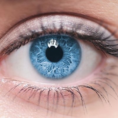 Banned from Twitter-Trump WON-Sleepy Biden Cheated-MAGA-WWG1WGA-1A-2A-Patriot to the bone