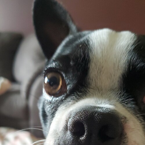 Truth seeking, God fearing, aspiring writer. Awake.