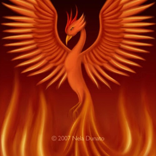 Capitalism🇺🇸🦅, not Socialism, and absolutely not Communism🇨🇳👺. Don’t listen to what Communist DemonRats🤥🤡 say bu...