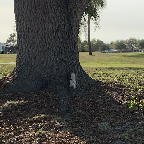 Entrepreneur:  This is Gods world, ur just living in it. I follow back! Followed by: Trump supporters, Prophets, watchme...