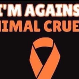 Grüne weg! 
Menschenwürde erhalten!  Tiere sind unsere Mitgeschöpfe, auch Tiere haben Rechte, Stop Massentierhaltung!
