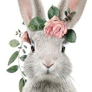 Just a little SomeBunny offering a carrot 🥕 or two ... #rabbithole