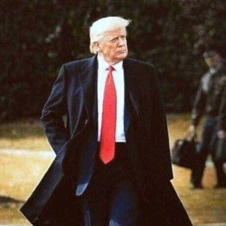 I’m a constitutional conservative that loves our real President! praying daily for our country to survive till he’s back...