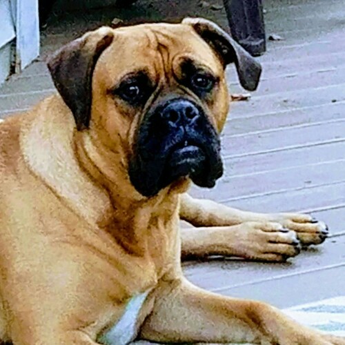 Visit MadHungarianBob's profile on GETTR. View their posts, photos, videos, and connect with them on the social platform.