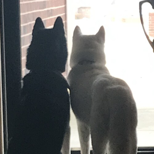 “For this reason take up the full armor of God, so that you may be able to resist in the evil day…”
Ephesians‬ ‭6:12:13‬...