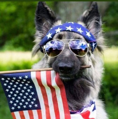 🇺🇸 Proud daughter of a Navy vet ⭐️ America First ❤️🤍💙 Always MAGA🗽 🔥Patriots Won’t Be Silenced 🦋 Babies Lives Mat...