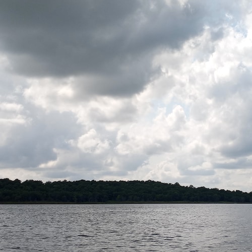 Visit nurs46's profile on GETTR. View their posts, photos, videos, and connect with them on the social platform.