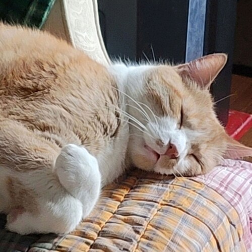 Just want to be on a site that let's everyone be heard.