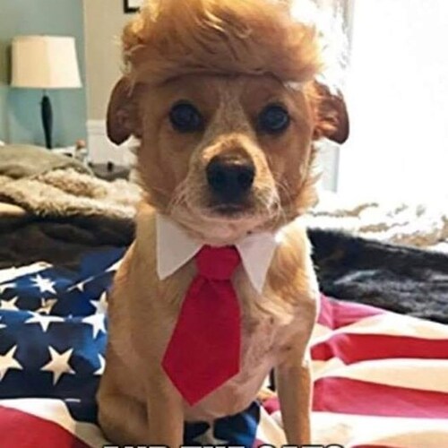 Visit qcomphone1's profile on GETTR. View their posts, photos, videos, and connect with them on the social platform.