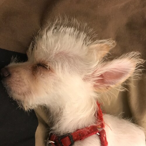 fight for our freedom! open our mind! open our eyes! open our month! action! action! ACTION!