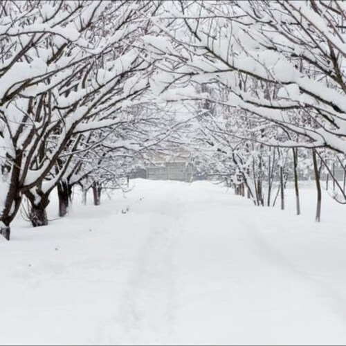 Jewish (c)onservative American🇺🇸🇮🇱
 Consumer of all manner of entertainment.      
Interested in the political/philo...