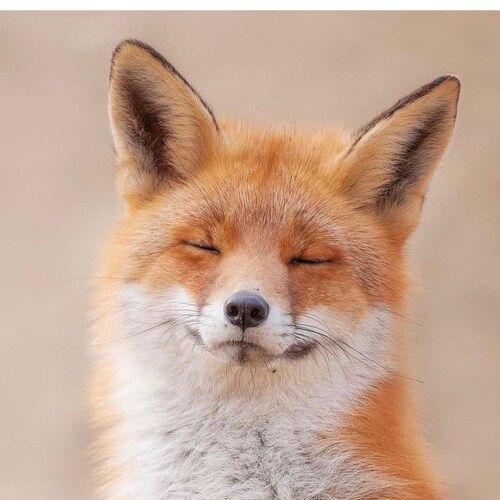 looking to talk with like minded freedom loving people