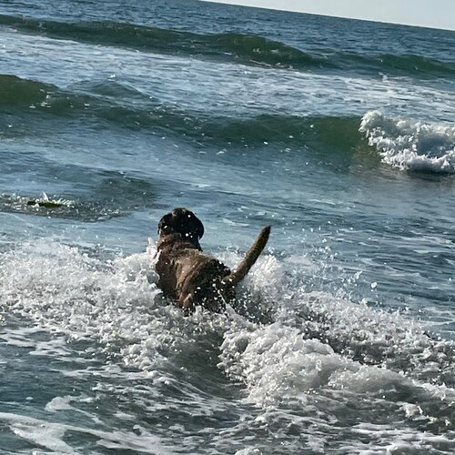 I’ll see you on the other side.