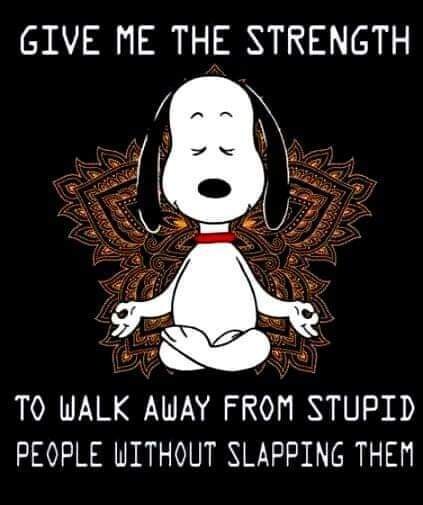 Just saying... 