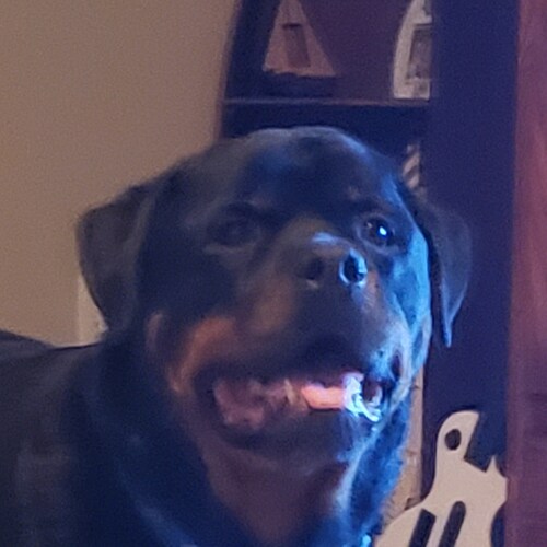 Enjoy family, faith, freedom, bourbon and guns.......oh and I like less government than you, much less