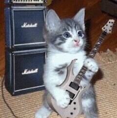 21 year Air Force veteran.  Small business owner.