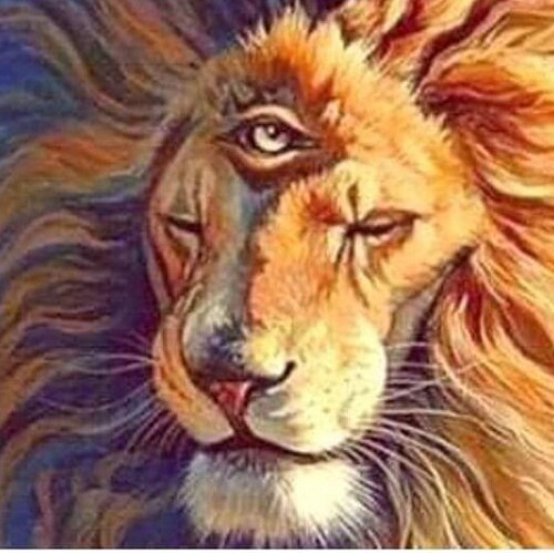 Anti-mask Anti-forced Vax & Pro Choice to choose how I should live as an organic human being.