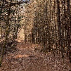 Let’s get the truth out in the open!