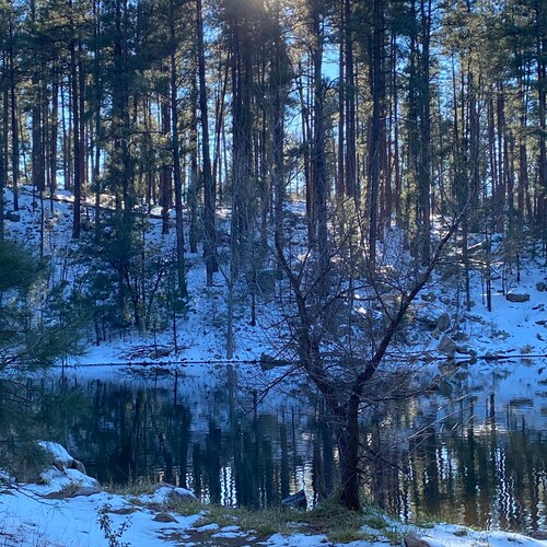 conservative, God fearing and loving. sharing His love wherever it is welcome