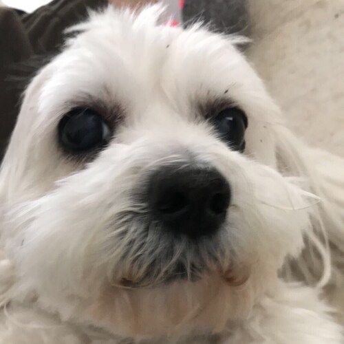 Jesus is Lord
#bornagainchristians