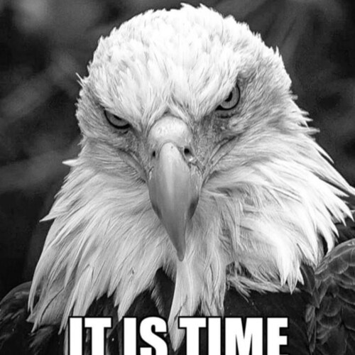 just another pissed off patriot!