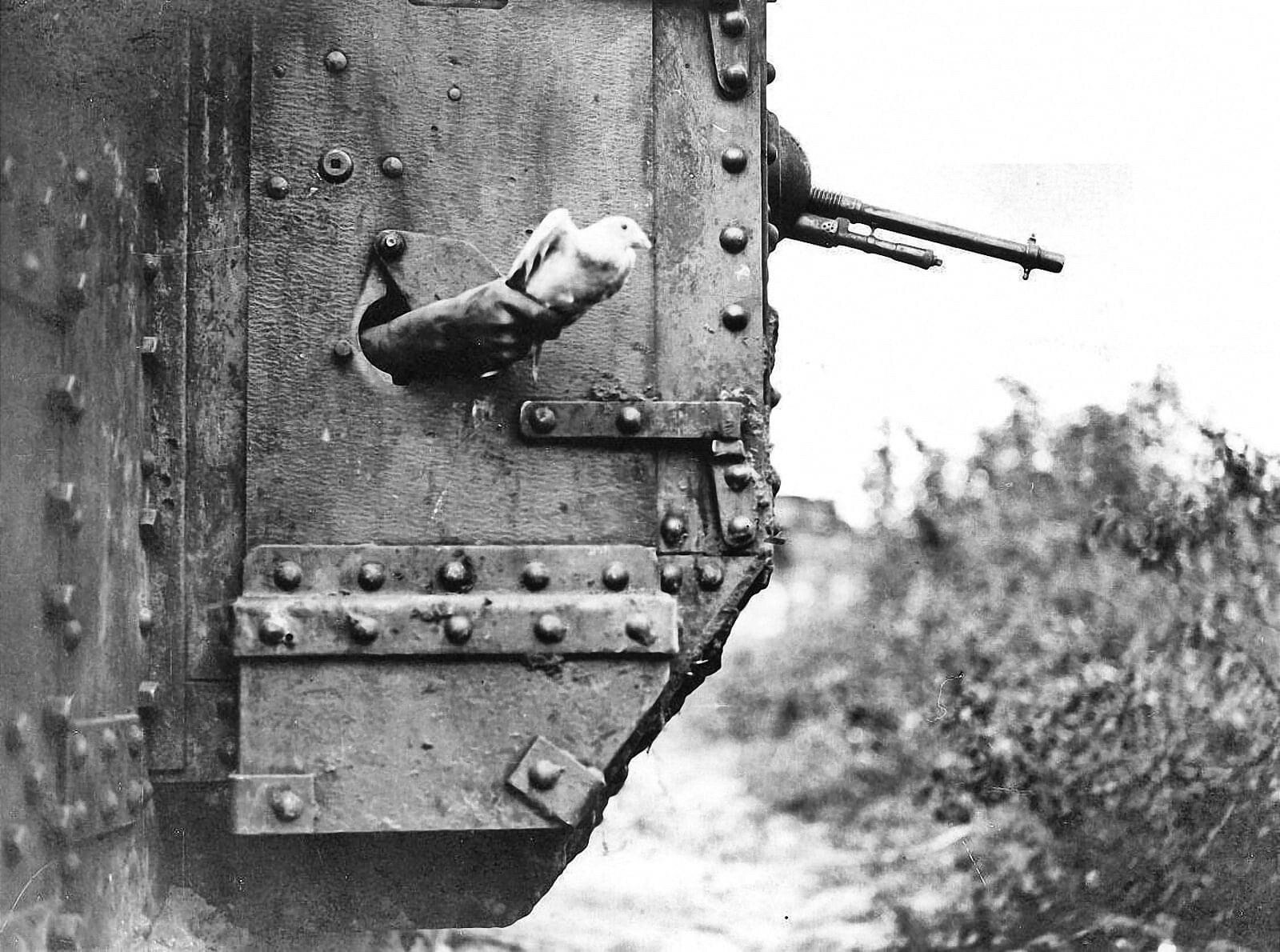 One of my favorites: Carrier pigeon released from a WW I British Mark V tank while rumbling into bat...