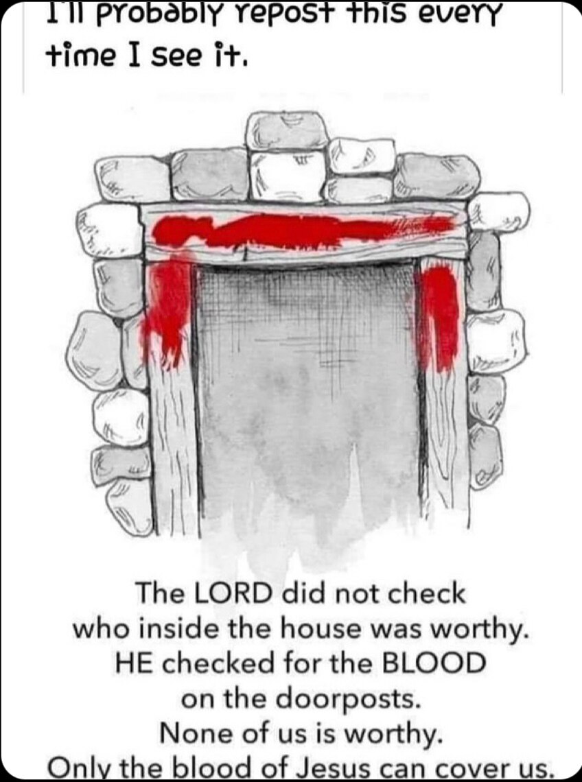 View davidmokc's post on GETTR. Join the discussion, share your thoughts, and connect with the community.