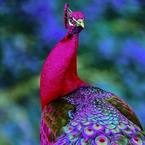 Why isn't this being investigated?🧐👇👇